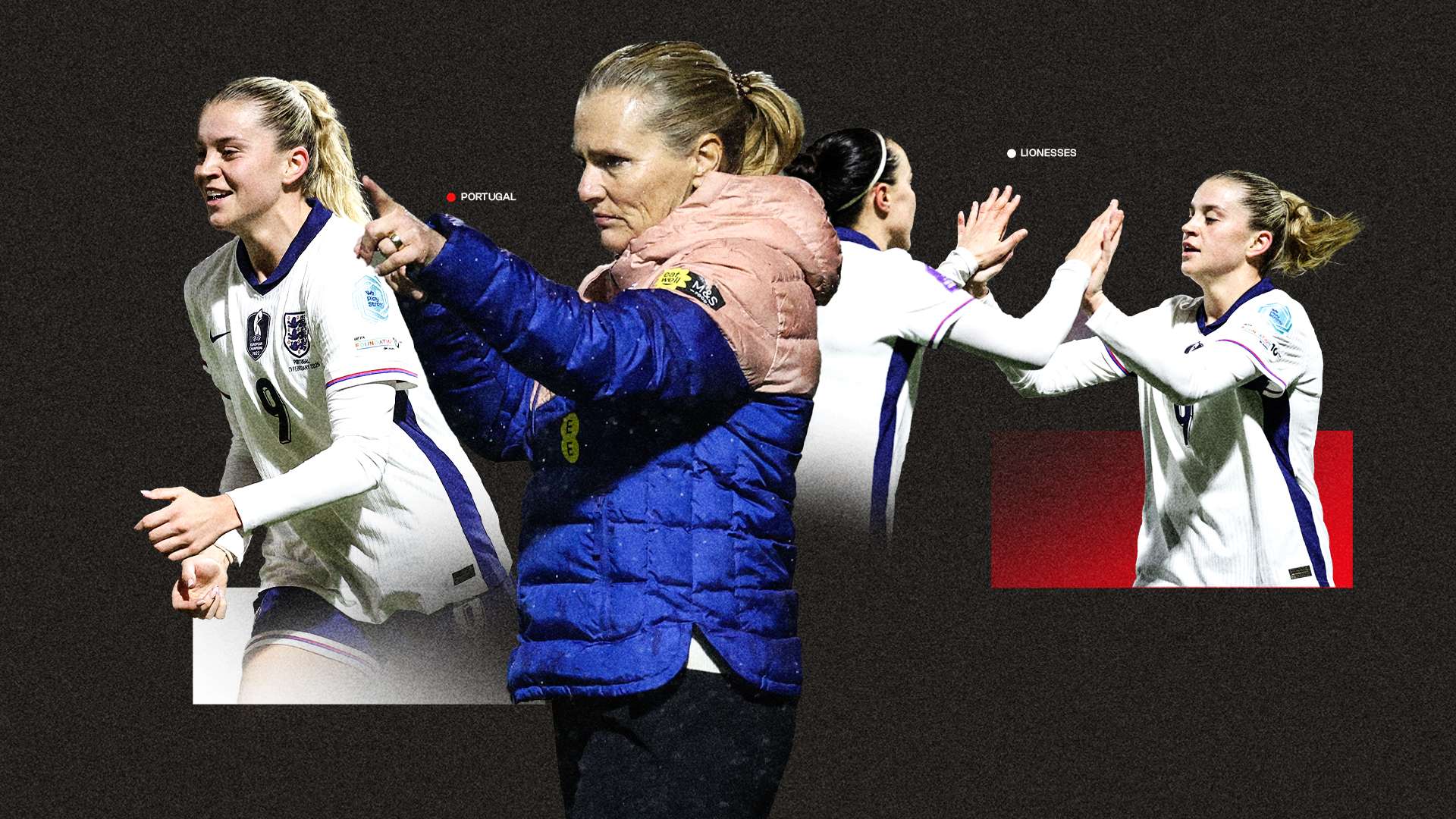 询专业的健 询专业的健